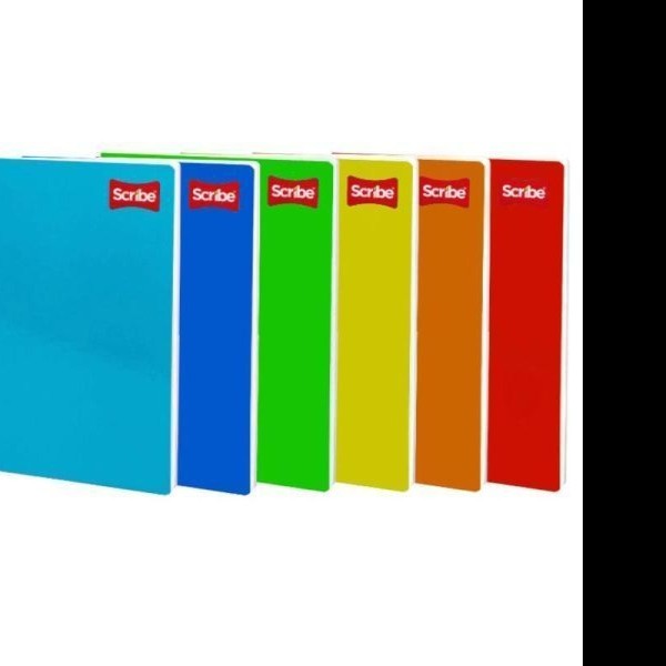 CUADERNO PROF. CLASICO SCRIBE 2903 C7MM. ESP. 100H. C.24